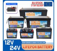 12V 24V 100AH 150AH 200AH 300AH 600AH LiFePO4 Batteria al litio ferro fosfato BMS integrato per camper camper Carrello da golf Carrello di stoccaggio solare