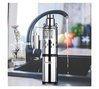 12V 24V 48V Pompa ad acqua solare Pompa for pozzi profondi Pompa sommersa Fattoria Irrigazione agricola Pompa for pozzi profondi 60M Pompa dell'acqua di sollevamento(200W -24V)