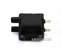 12v CDI Doppia Uscita Accensione Bobina - Triumph T100 & Thruxton (Carb Modelli)