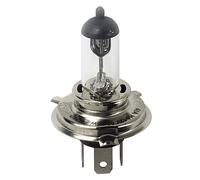 12V Lampada alogena H4 60/55W P43t 1 pz Scatola Auto Lampadine Lampa E