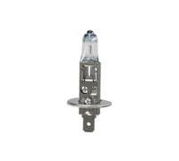 12V Night Breaker Plus - H1 - 55W - P14,5s - 1 pz - Blister