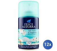 12x Bundle Felce Aria Automatic Ricarica Sali Magnol 250 Ml.