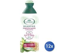 12x Bundle L'Angelica Shampoo 250 Ml. Fortificante Luppolo
