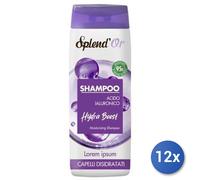 12x Bundle Splendor Shampoo 300 Ml Aloe-Keratina Secchi