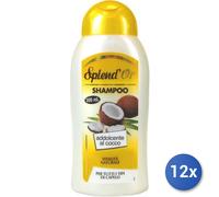 12x Bundle Splend'Or Shampoo 300 Ml. Cocco Addolcente