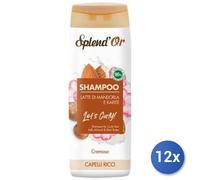 12x Bundle Splendor Shampoo 300 Ml. Karite Capelli Ricci