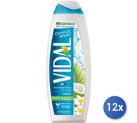 12x Bundle Vidal Bagno 500 Ml. Coconut Water Made In Italy