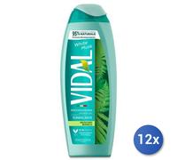 12x Bundle Vidal Doccia 250 Ml. Muschio Bianco Made In Italy