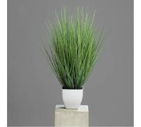 12x Finta Isolepsisgras Im Pentola, Decorazione Erbe IN Set H.60cm Verde DPI Wa