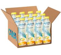 12X linfe Acqua Minerale Naturale Detox con Limone, Zenzero per vitasnella 500ml