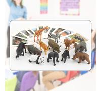 12x Mini Figure di Animali con Flash Cards Gioco di Abbinamento Playset Scuola