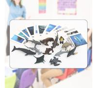 12x Mini Figure di Animali con Flash Cards Gioco di Abbinamento Playset Scuola