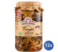 12x Multipack Delizie di Calabria Funghi misti gr. 530