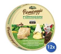 12x Multipack Formaggio Parmareggio X12 Gr140 No Frigo