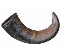 12x Trixie corno di bufalo grande