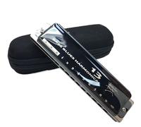 13 Armonica Richter Strumenti musicali 13 FORI TASTO LA~SOL(G)