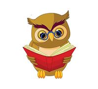 13 cm x 10,2 cm per gufo saggio adesivi per auto decalcomania personalità adesivo creativo divertente