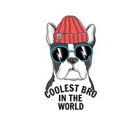 13 cm x 10,2 cm per il fratello più cool del mondo, materiale in vinile per decalcomanie, accessori JDM