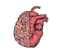 13 cm x 10,7 cm per metà cervello e metà cuore decalcomania paraurti divertenti adesivi per auto