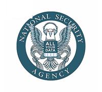 13 cm x 12,7 cm per la personalità della decalcomania del parabrezza degli adesivi per auto dell'aquila dell'agenzia di sicurezza nazionale