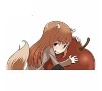 13 cm x 24,1 cm per adesivi per auto Spice and Wolf Materiale in vinile per decalcomanie fine impermeabile