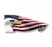 13 cm x 5,1 cm per l'America Flag Eagle Creative Car Sticker Cartoon Decal impermeabile 3D