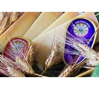 13 kg - Grananglona, formaggio a pasta cruda, prodotto con latte di pecora, caglio di vitello, prodotto dalla Cooperativa San Pasquale