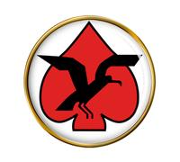 133 Squadron Iaf Israeliano Air Force Spilla