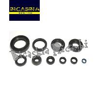 13381 - KIT SERIE PARAOLI MOTORE YAMAHA YZ 2T 250 1998 - 2000