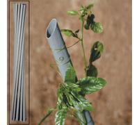 13718 Q.TA' 20 CANNETTA PVC P/PIANTE VIGNA D 23XH150 CM
