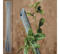 13734 Q.TA' 20 CANNETTA PVC P/PIANTE VIGNA D 27XH210 CM