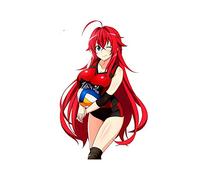 13cmx10.6cm per HighSchool DxD Car Sticker Personalità Creativa VAN Stampa personalizzata fai da te