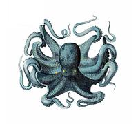 13cmx12.2cm per Kraken Norwegian Ocean Personalità Cartoon Car Stickers Decal impermeabile per