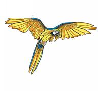 13cmx8.3cm per Parrot Ara Bird Personalità Adesivi creativi Adesivo per auto in vinile Moda