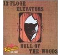 13th Floor Elevators - Bull of the Woods