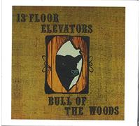 13th Floor Elevators - Bull of the Woods