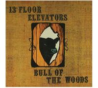 13th Floor Elevators - Bull Of The Woods