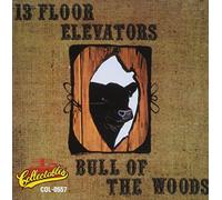 13th Floor Elevators - Bull Of The Woods