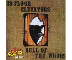 13th Floor Elevators - Bull Of The Woods