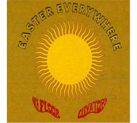 13th Floor Elevators Easter Everywhere (CD)