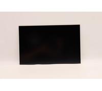 Lenovo Display AUO 14.0 WUXGA AG, FRU5D10V82395