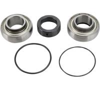 All Balls Kit Cuscinetti E Paraolio Differenziale 14-1008 Arctic Cat