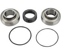 All Balls Kit Cuscinetti E Paraolio Differenziale 14-1008 Arctic Cat