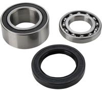 14-1010 KIT PARAOLI E CUSCINETTI PARACATENA ARCTIC CAT BEARCAT 5000 XT GS 2015