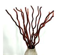 14-15 rami secchi di salice ricci, 58 cm, rami decorativi per piante secche naturali, con 3 mini zucche, per fai da te, vasi, decorazioni per la casa, colore: marrone