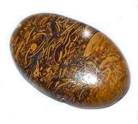 14.25 Ratti Natural Mariyam Fossil Healing Gemstone Mineral Mariyam Gemstone cabochon pietra non trattata-B0C2Q6S3-1D