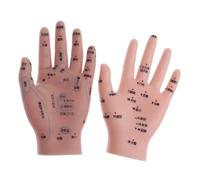 14 Cm Messaggio Agopuntura Modello Manuale Riflessologia Kit Di Studio Per
