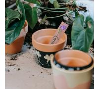 14 Pcs Targhette Con I Nomi Delle Piante Paletti Segnaletici Per