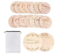 14 Pezzi Hello World Segno di Annuncio Set con Carte Milestone Mensili e Borsa di Conservazione, 6 Inch Segno di Annuncio del Bambino in Legno per Foto Baby Shower Nursery, Regalo per Nuovi Genitori
