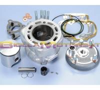 140.0208.RC-2 KIT BIG EVOLUTION PIAGGIO ZIP SP H2O D.52 CORSA 44 BIELLA 85 (P